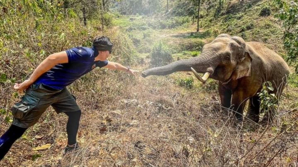 El elefante sorprendió al reconocer a al veterinario que le salvó la vida hace más de 10 años. FOTO: ESPECIAL