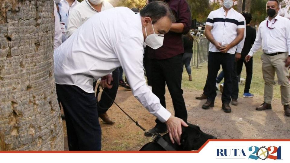 El aspirante a dirigir el estado aseguró que en su casa se cuida a todos los animales