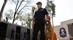 Alcaldesa de Naucalpan presentó Unidad Canina K-9 para ayudar a los policías