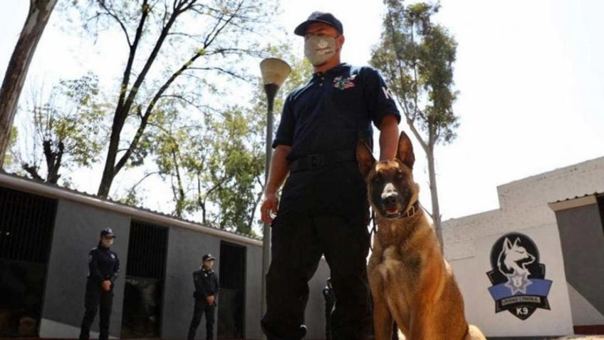 Alcaldesa de Naucalpan presentó Unidad Canina K-9 para ayudar a los policías