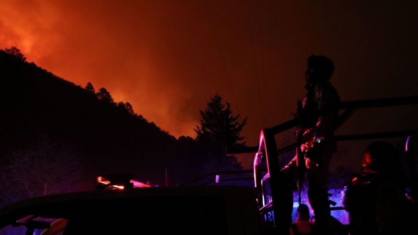 Incendio forestal en la Sierra de Arteaga habría sido provocado por una carnita asada 