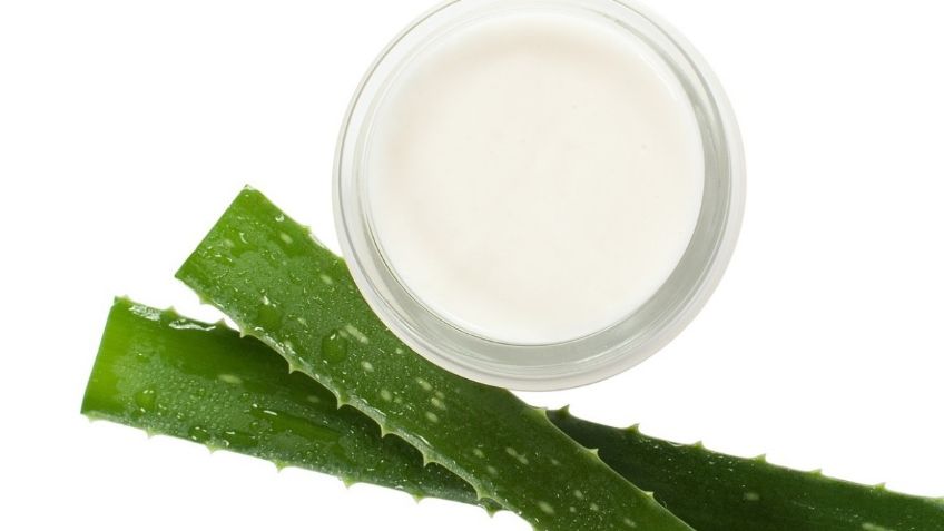 ¿Cómo hacer crema hidratante de aloe vera? Receta casera fácil y rápida de preparar