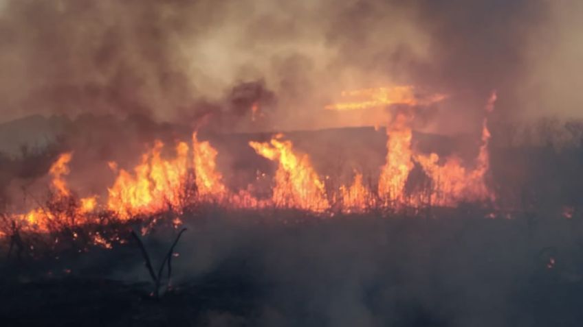 Arrecian incendios en Nuevo León