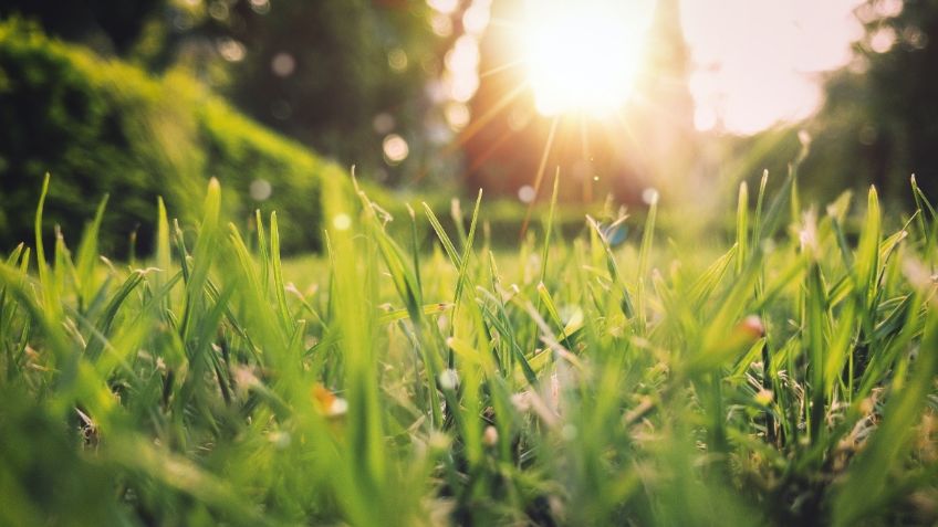 Conoce el Bosque de la Primavera, un destino rico en AGUAS TERMALES