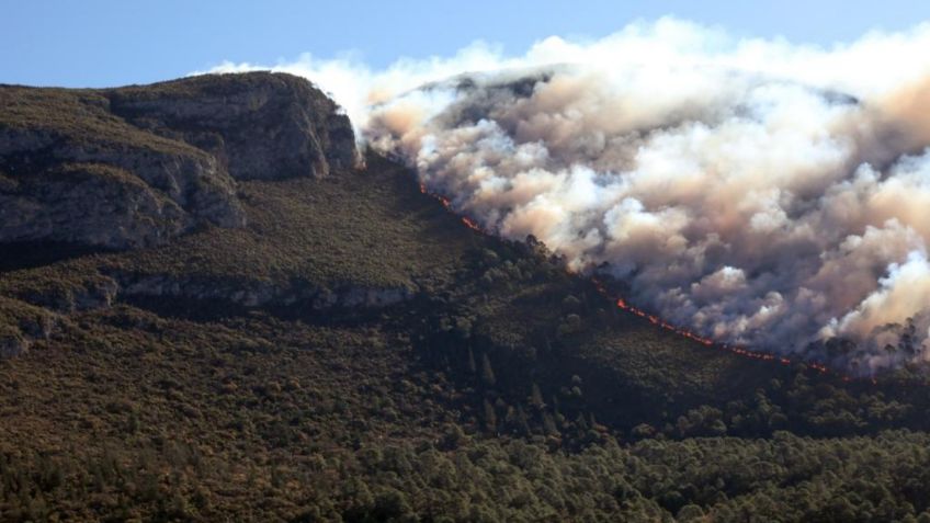 Incendio en Sierra en Coahuila lleva más de tres mil 500 hectáreas dañadas