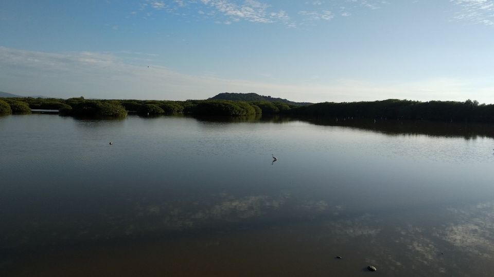 Foto: Comisión Nacional Forestal