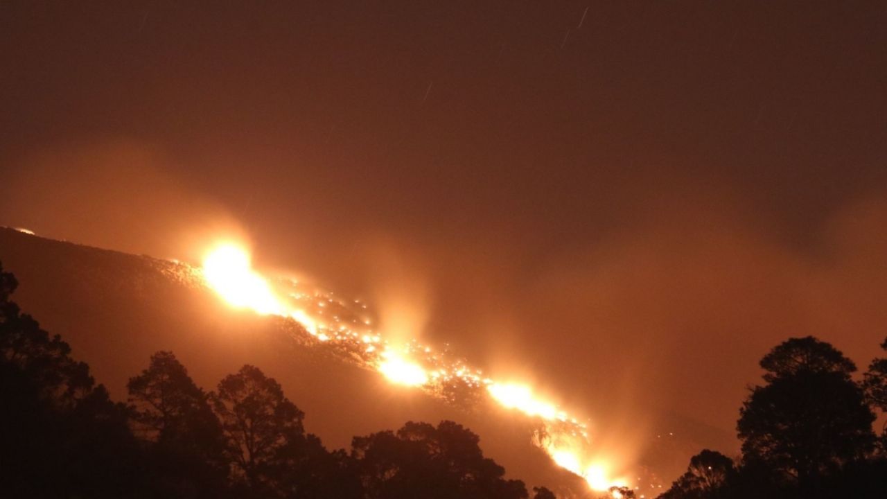 Estos Son Los Cinco Incendios Forestales Más Catastróficos En México