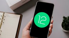 Android 12: Conoce las novedades de la segunda versión para desarrolladores