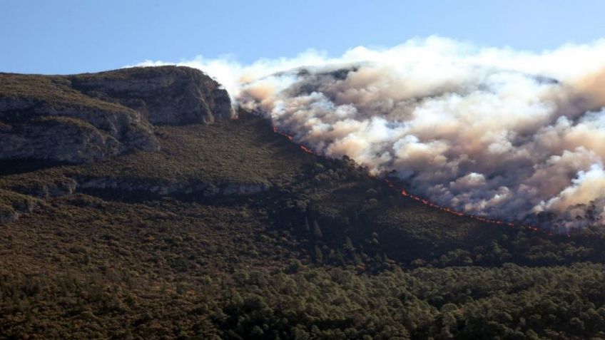 VIDEO: Así captaron la caída de ceniza en municipios de Nuevo León tras incendios forestales