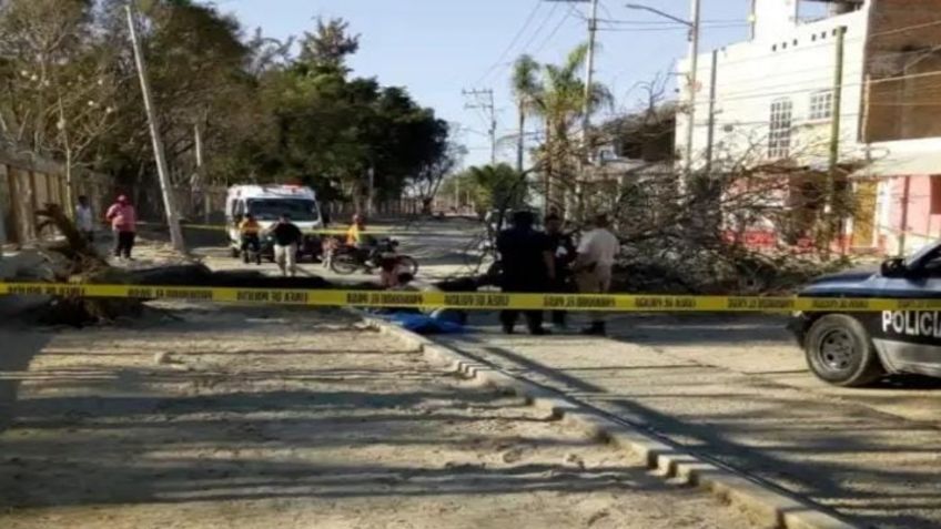 Árbol cae y mata a un niño en Jalisco;  indagan presunta responsabilidad de una constructora