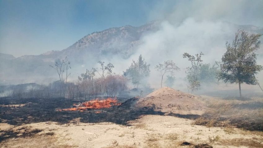 Incendios forestales y no hay AGUA; 80% del territorio mexicano está en sequía y viene lo peor: expertos