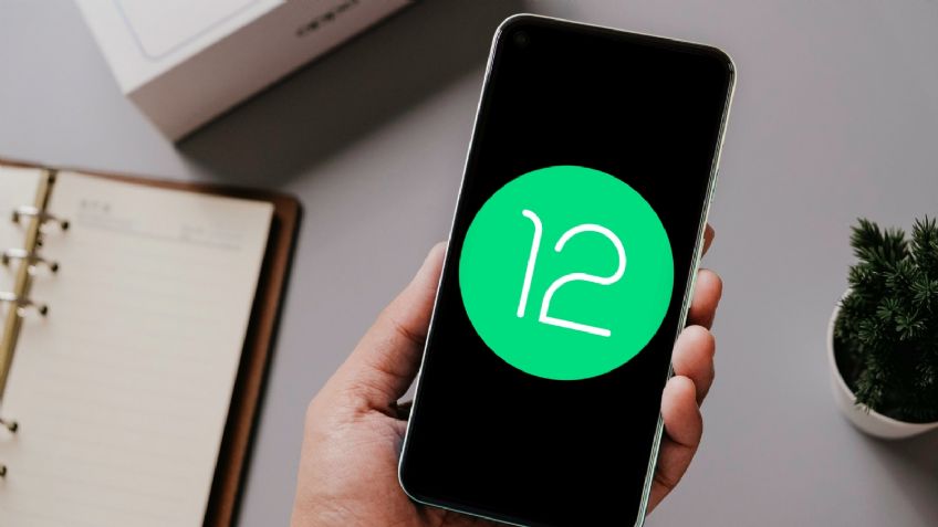 Android 12: Conoce las novedades de la segunda versión para desarrolladores