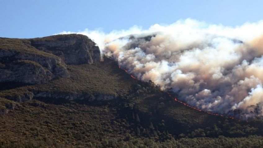 Estas son las fotos más impresionantes del incendio en Coahuila y Nuevo León