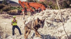 ¡EL OLOR QUE SALVA VIDAS! Los perros de rescate fueron los protagonistas en la búsqueda de Maia