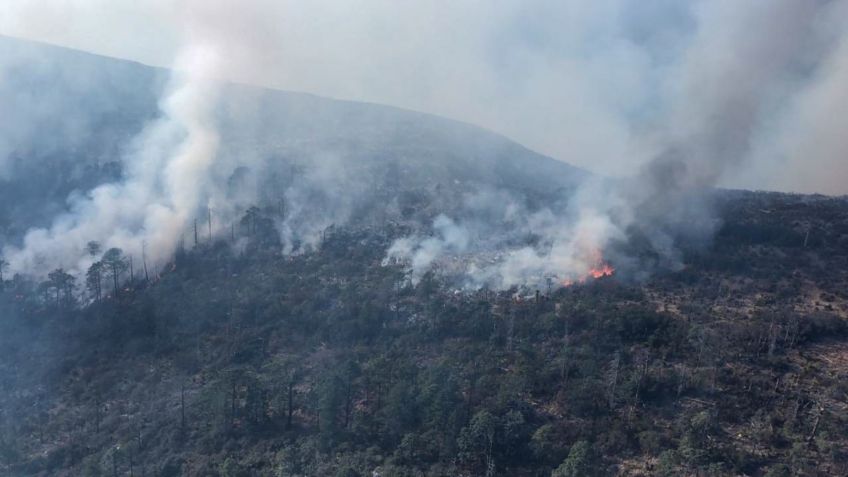 Facebook activa herramienta de emergencia tras incendios en Nuevo León y Coahuila