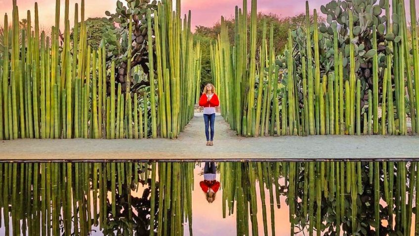 ¿Cuánto cuesta entrar al Jardín Etnobotánico de Oaxaca?