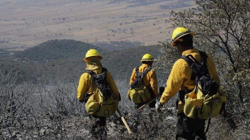 Coahuila y Nuevo León continúan luchando contra el fuego; reportan avances del 15 y 20 por ciento respectivamente