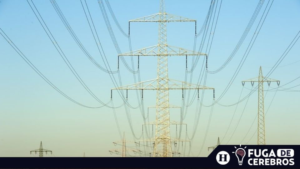 Claves para entender el tema de la industria eléctrica. Foto: APPA