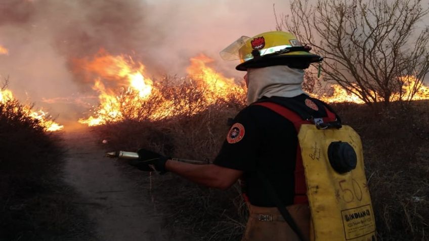 Conmueve bombero de Nuevo León por agradecer el haberle regalado un sándwich