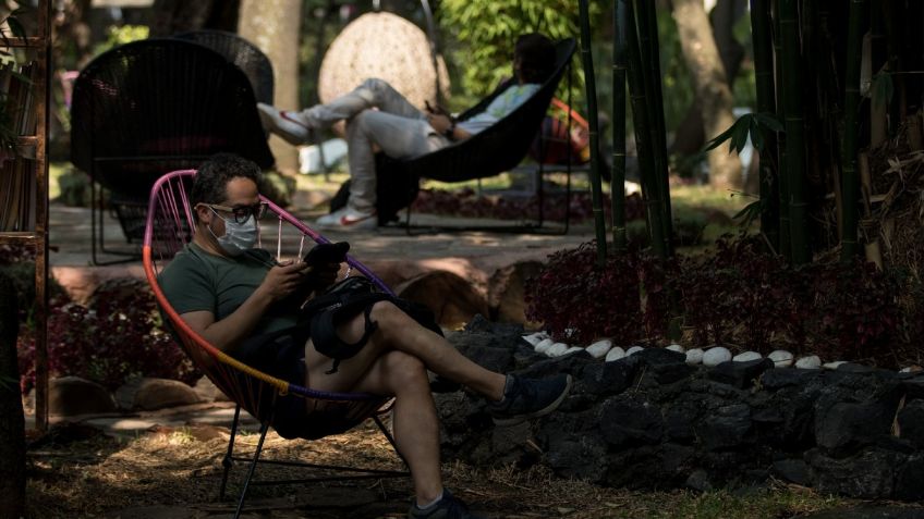 ¡Increíble! Tu perro podrá correr con libertad en estos PARQUES para ellos en CDMX; conócelos