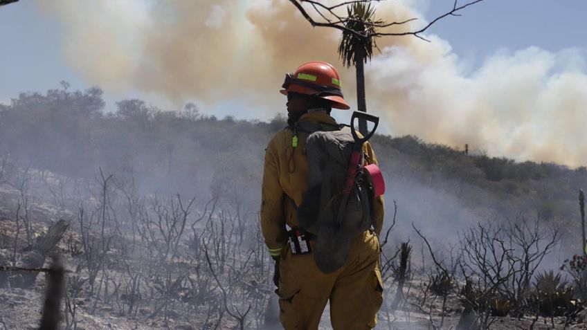 ¿Qué porcentaje del incendio forestal en Coahuila y Nuevo León ya fue apagado?