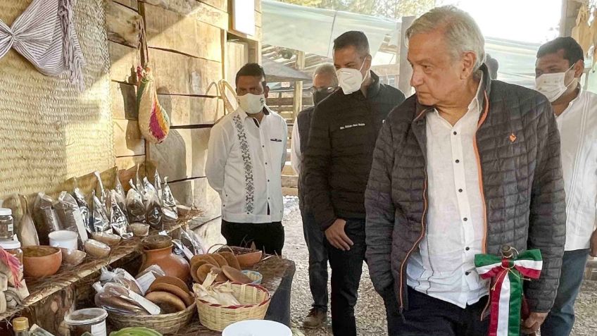 En Sembrando Vida no se usan transgénicos ni agroquímicos: AMLO