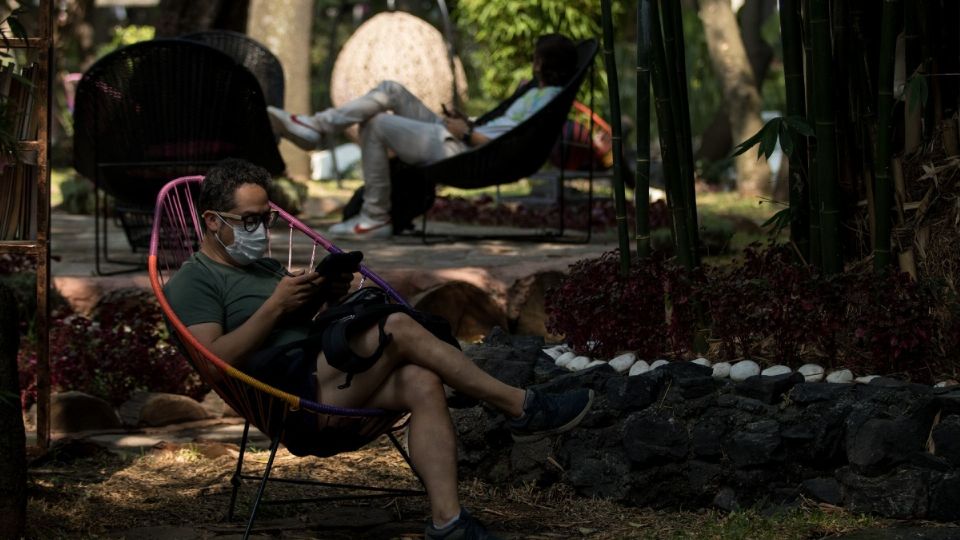 ¡Increíble! Tu perro podrá correr con libertad en estos PARQUES para ellos en CDMX; conócelos. Foto:Cuartoscuro