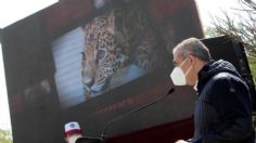 Arman albergue felino en Ecatepec para proteger al jaguar Mixtémoc