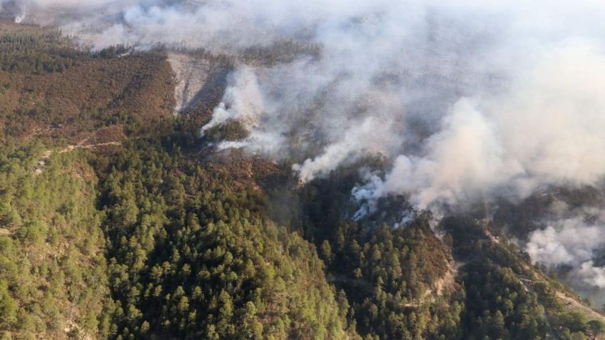 ¿Cómo va el avance de combate a los incendios en Coahuila y Nuevo León?