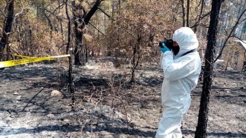 Hasta 20 años de prisión a responsables de incendio en Coahuila