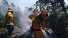 Ubican cabaña donde inició el incendio en Arteaga; así comenzó el fuego 