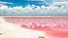 Las Coloradas, la única laguna de color rosa en el mundo: FOTOS