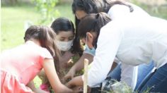 Buscan llenar a Mérida de colibríes en beneficio del medio ambiente