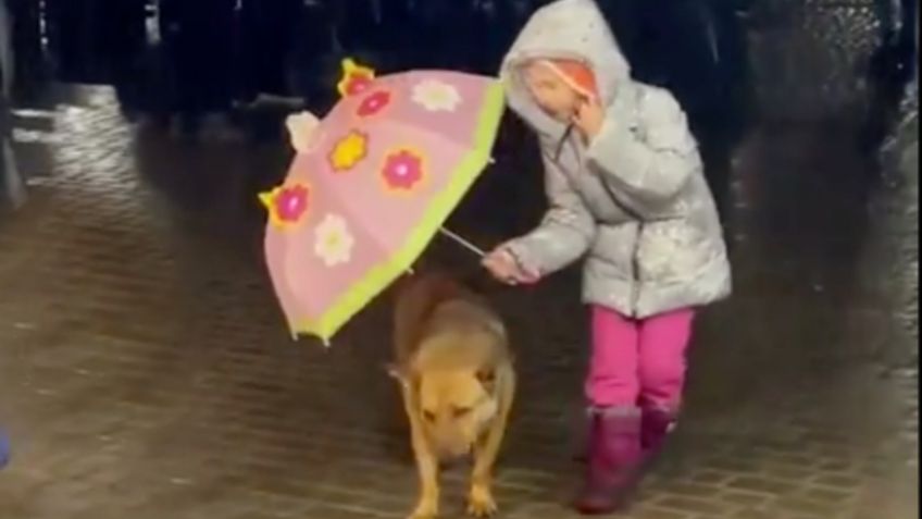 VIDEO VIRAL: Niña cubre a su perrito con un paraguas para evitar que se moje