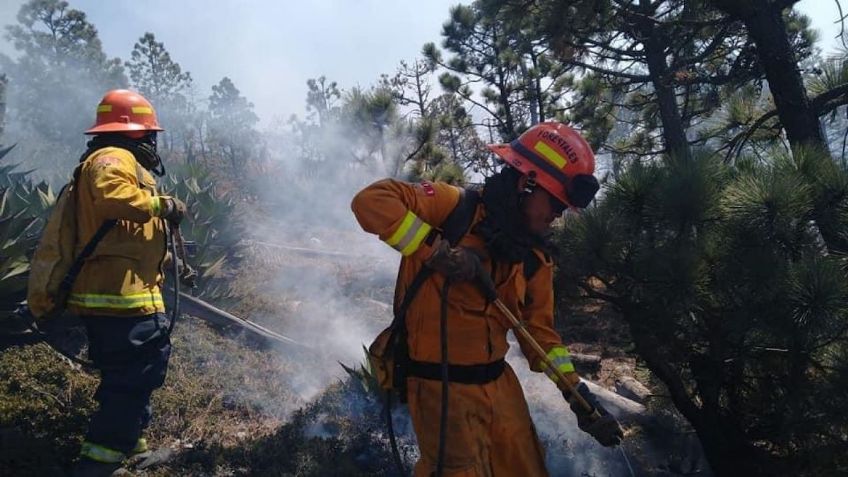 Ubican cabaña donde inició el incendio en Arteaga; así comenzó el fuego 