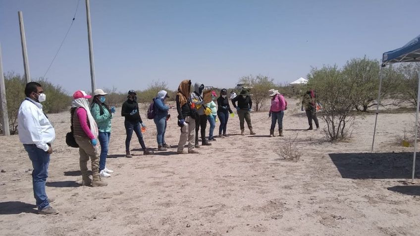 Durango: colectivo y autoridades realizan búsqueda de desaparecidos en la entidad