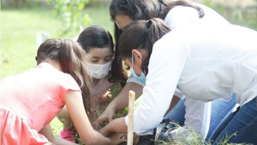 Buscan llenar a Mérida de colibríes en beneficio del medio ambiente