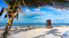 Esta es la PLAYA VIRGEN de Yucatán que casi nadie conoce