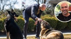 César Millan quiere DOMAR a los perros de Joe Biden, ofrece ayuda tras ATAQUE en la Casa Blanca