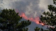 IP propone ayudar a prevenir incendios forestales