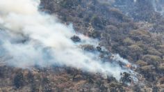 Incendios consumen cerros del Cristo y de Las Peñas en Querétaro: FOTOS