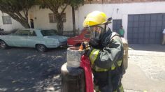 Un perrito, tortugas y gallinas mueren en fatal incendio en Guadalajara