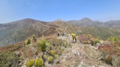 Desalojan comunidades de San Luis Potosí por incendio forestal