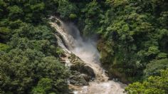 Conoce Cañón del Río Blanco, área protegida en Veracruz hogar de lagartos y ocelotes