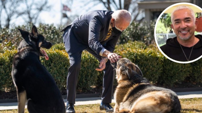 César Millan quiere DOMAR a los perros de Joe Biden, ofrece ayuda tras ATAQUE en la Casa Blanca