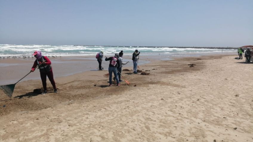 Ciudadanos ayudan a retirar sargazo en playa de Tamaulipas