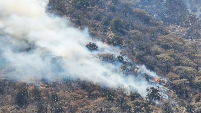 Incendios consumen cerros del Cristo y de Las Peñas en Querétaro: FOTOS