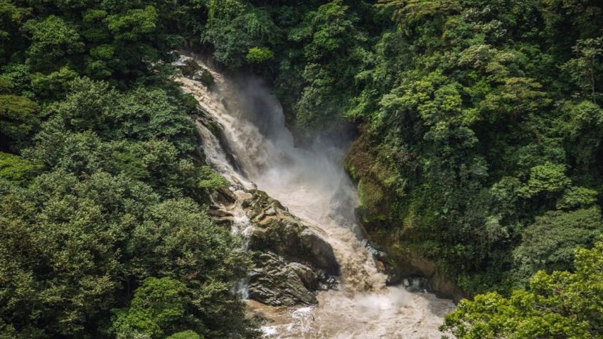 Conoce Cañón del Río Blanco, área protegida en Veracruz hogar de lagartos y ocelotes