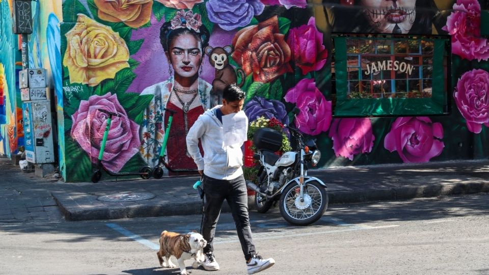 Entre los continentes en donde Frida Kahlo fue menos buscada destacaron Oceanía, Asia y África. FOTO: Cuartoscuro