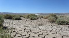 Alertan por erosión creciente en México y su daño ambiental